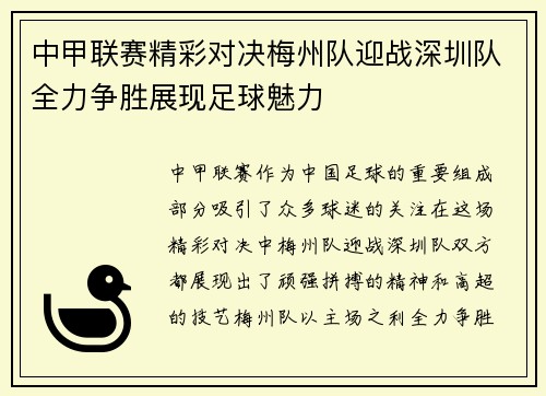 中甲联赛精彩对决梅州队迎战深圳队全力争胜展现足球魅力